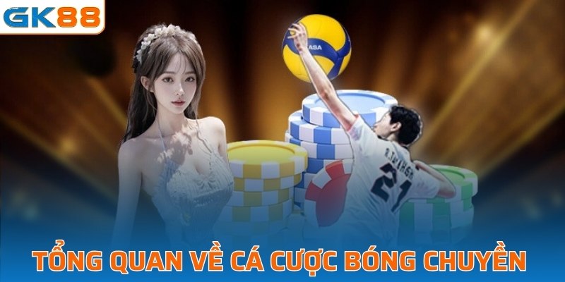 Tổng quan về cá cược bóng chuyền